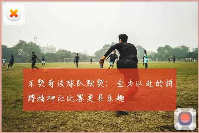 东契奇谈球队默契：全力以赴的拼搏精神让比赛更具乐趣