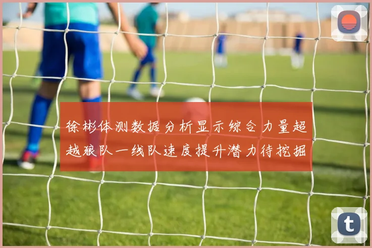徐彬体测数据分析显示综合力量超越狼队一线队速度提升潜力待挖掘